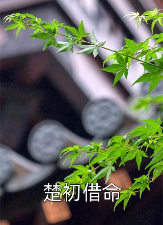 渣男靠边走，我要撩反派精品阮堇唐南风热门小说推荐_免费小说在线看渣男靠边走，我要撩反派精品(阮堇唐南风)